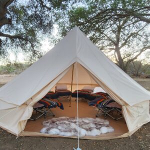 Cot in 8-Person All Gender Tent