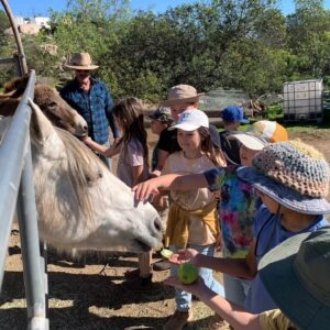 Summer Farm Camp — July 27 - 30