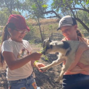 Summer Farm Camp — July 20 - 23