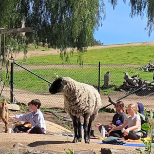 Summer Farm Camp — July 13 - 16